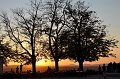 Buga_Koblenz   121